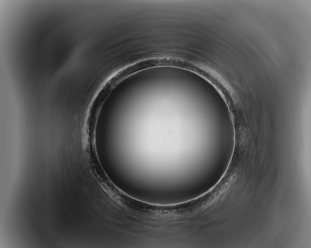 X0000087690927200705111317