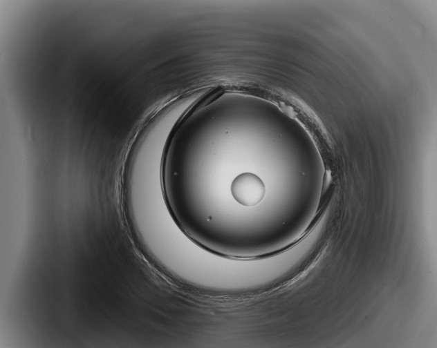 X0000087690930200705111317