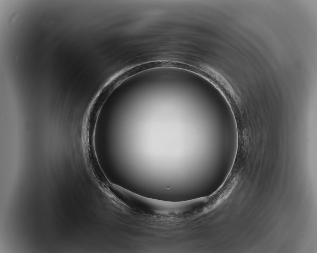 X0000087690931200705111317