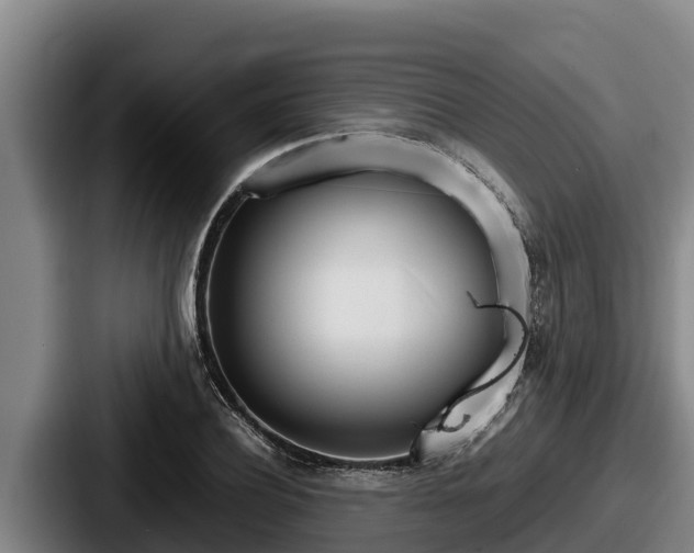 X0000087690932200705111317