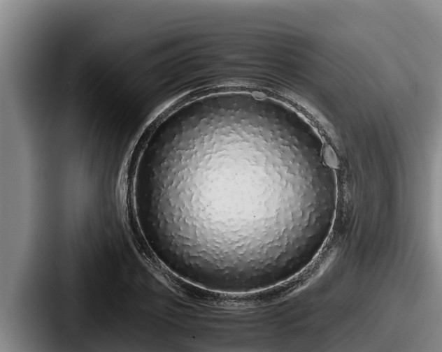 X0000087690933200705111317
