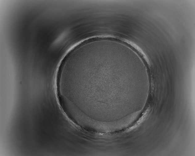 X0000087690935200705111317