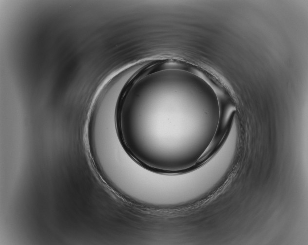 X0000087690936200705111317