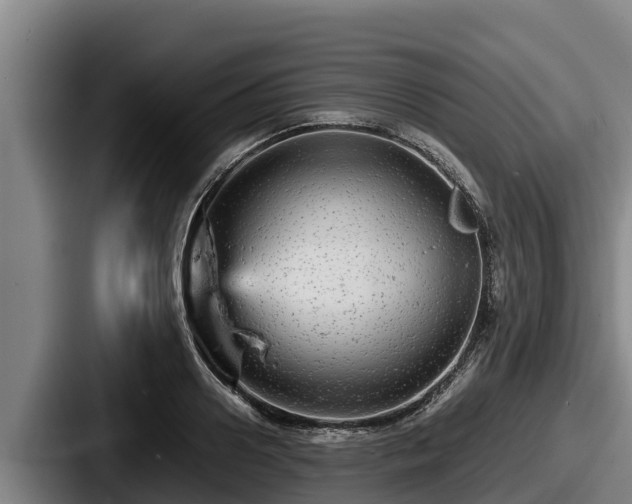 X0000087690938200705111317