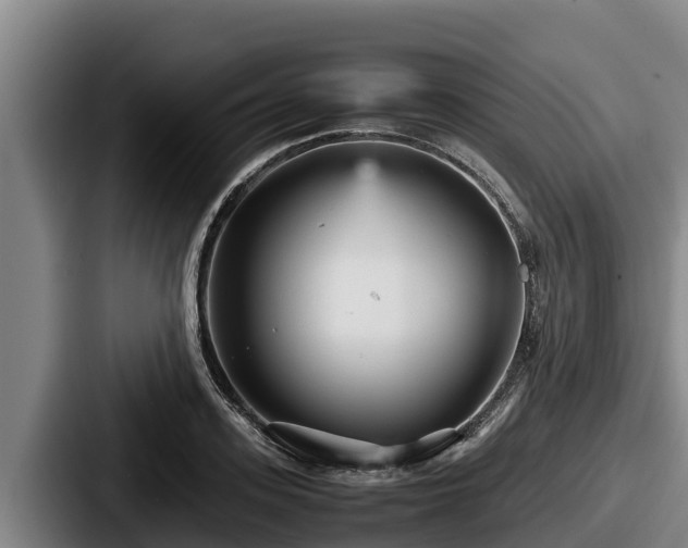 X0000087690939200705111317