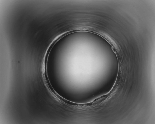 X0000087690940200705111317