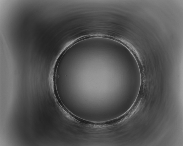 X0000087690941200705111317