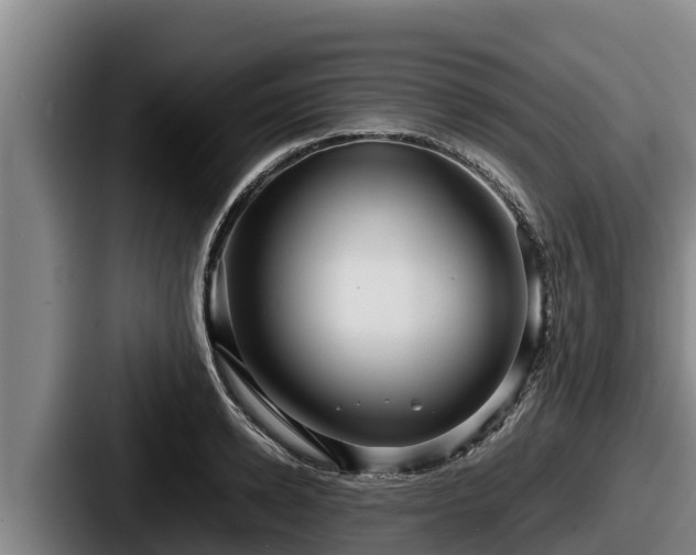 X0000087690942200705111317