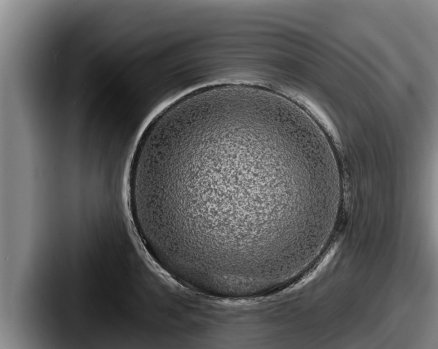 X0000087690944200705111318