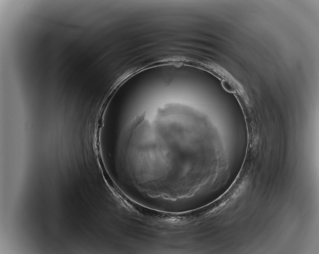 X0000087690945200705111318