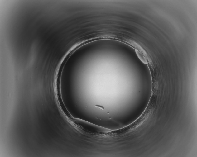 X0000087690947200705111318