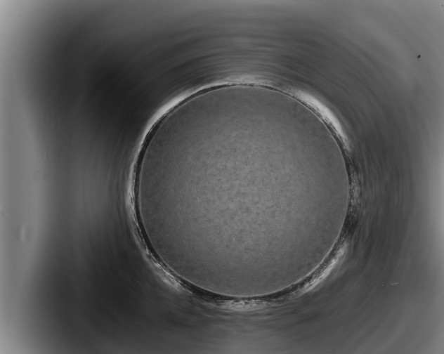 X0000087690952200705111318