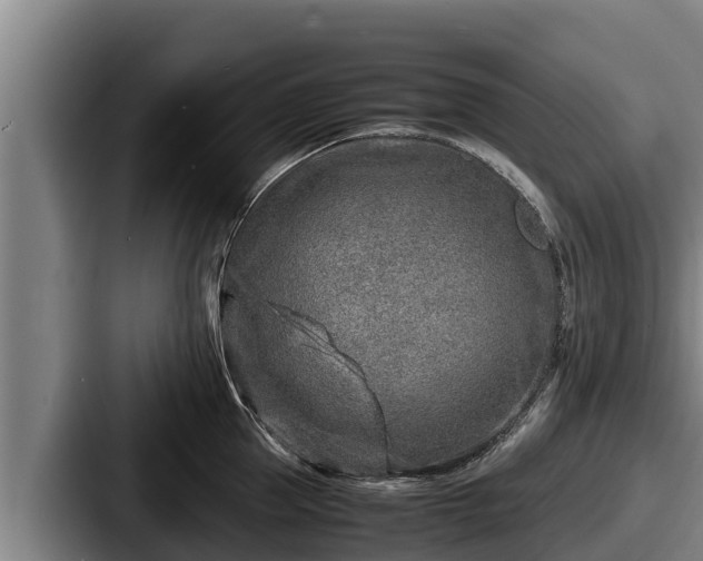 X0000087690953200705111318
