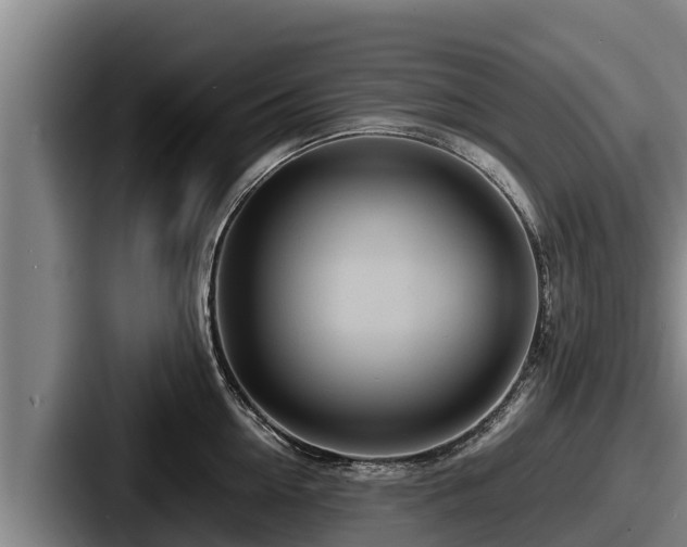 X0000087690954200705111318