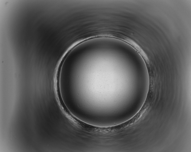 X0000087690955200705111318