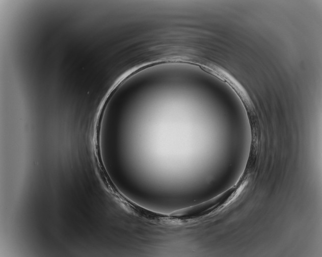 X0000087690956200705111318