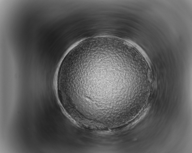 X0000087690957200705111318