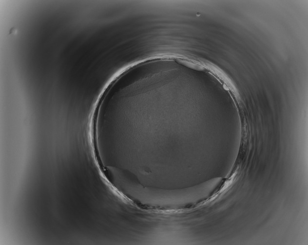 X0000087690958200705111318
