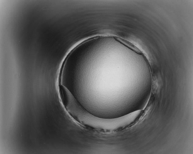 X0000087690959200705111318