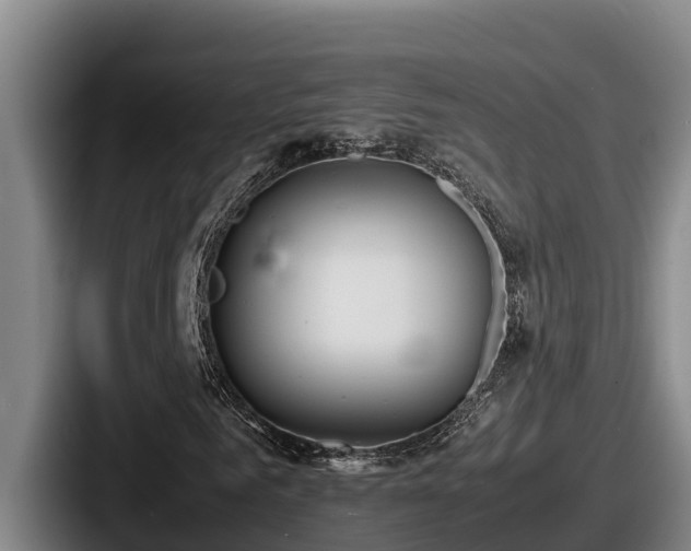 X0000087690961200705111317