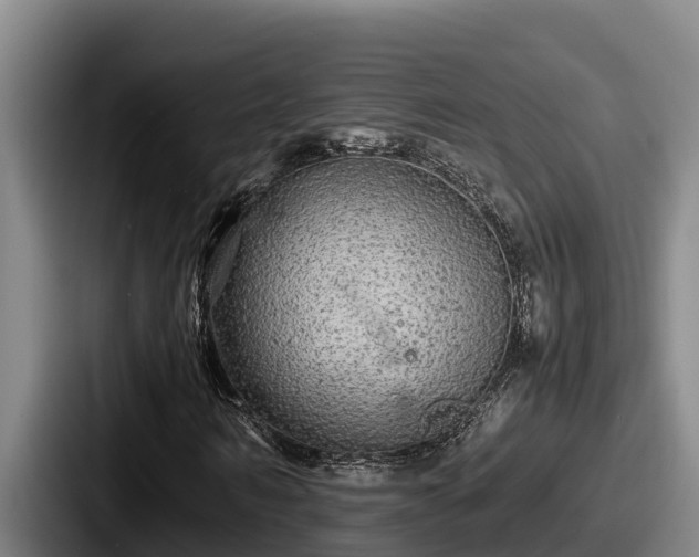 X0000087690962200705111317