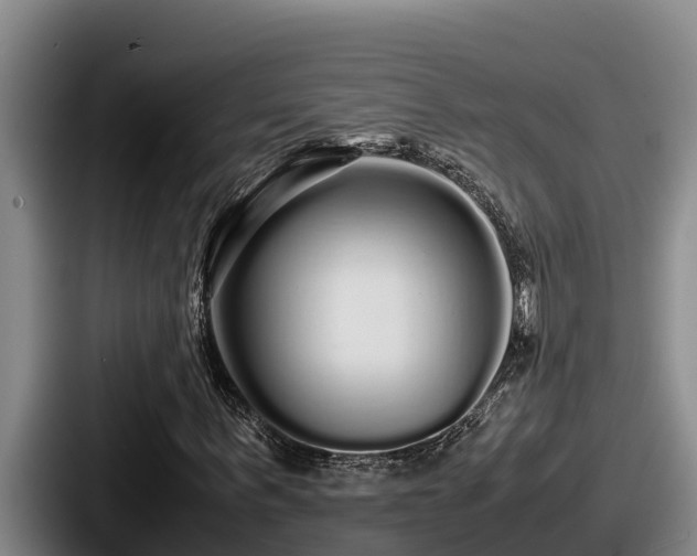 X0000087690963200705111317