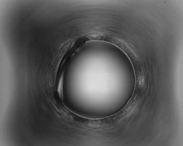 X0000087690964200705111317