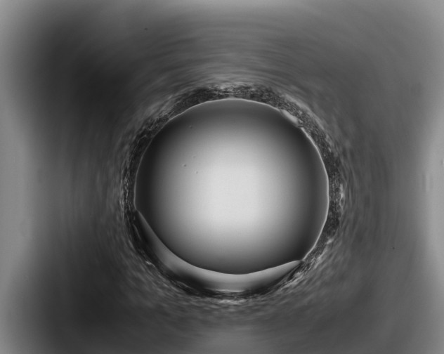X0000087690965200705111317