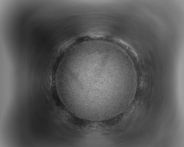 X0000087690966200705111317