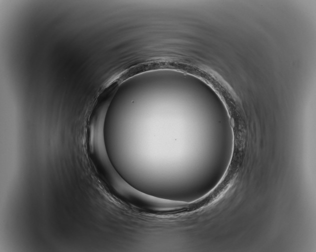 X0000087690969200705111317