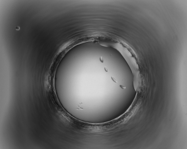 X0000087690970200705111317