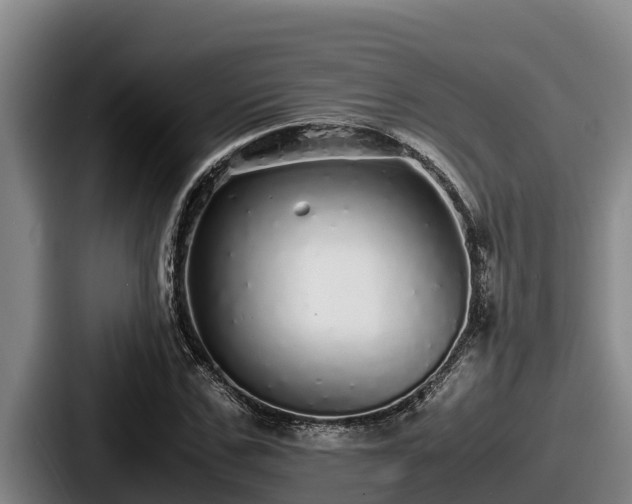 X0000087690971200705111317