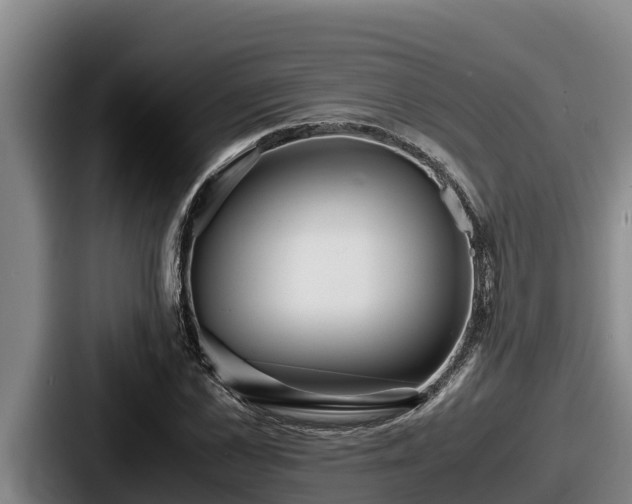 X0000087690973200705111317