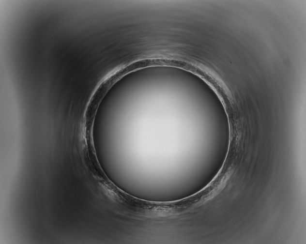X0000087690974200705111317