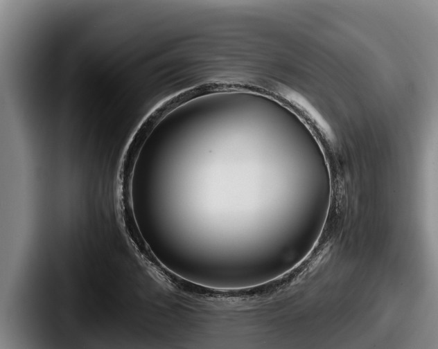 X0000087690976200705111317