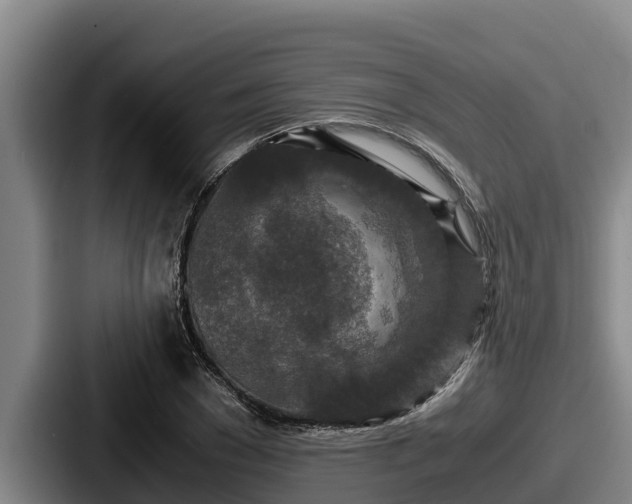 X0000087690977200705111317