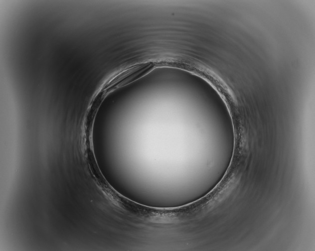 X0000087690978200705111317