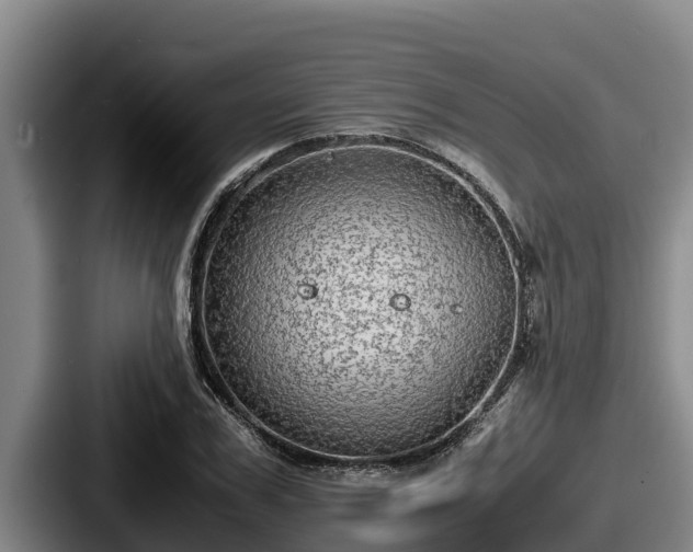 X0000087690979200705111317