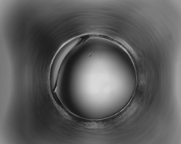 X0000087690980200705111317