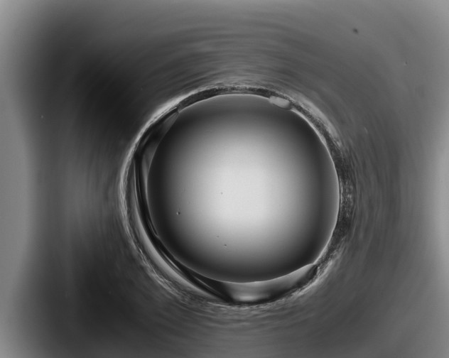 X0000087690981200705111317