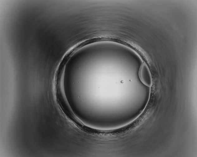 X0000087690983200705111317