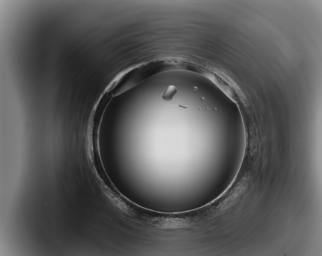 X0000087690984200705111317