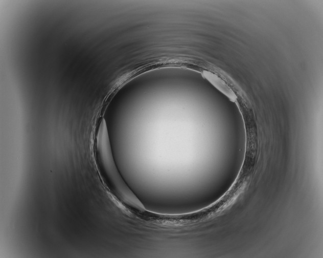 X0000087690985200705111317