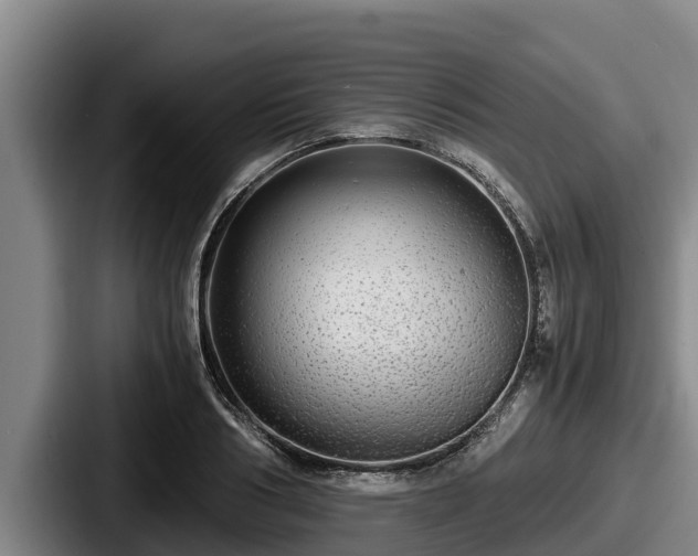 X0000087690986200705111317