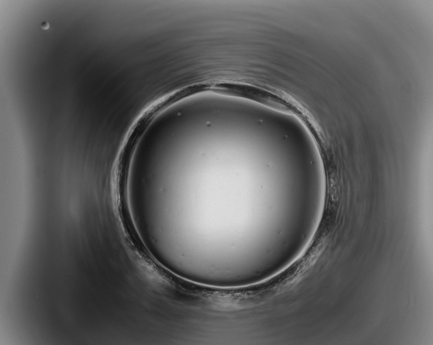 X0000087690987200705111317