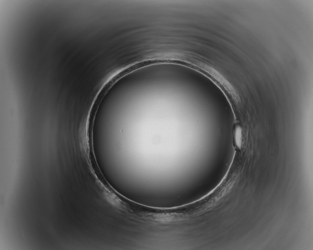 X0000087690988200705111317