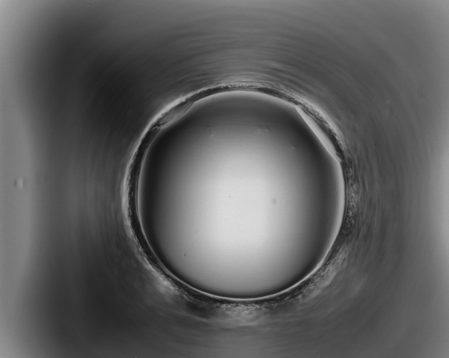 X0000087690991200705111317