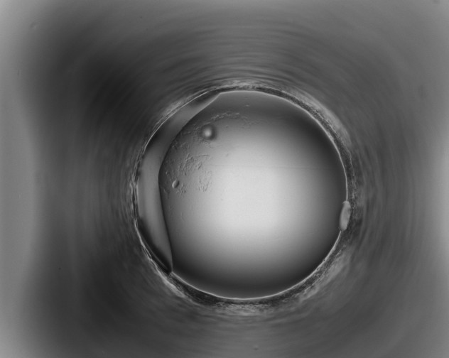 X0000087690993200705111317