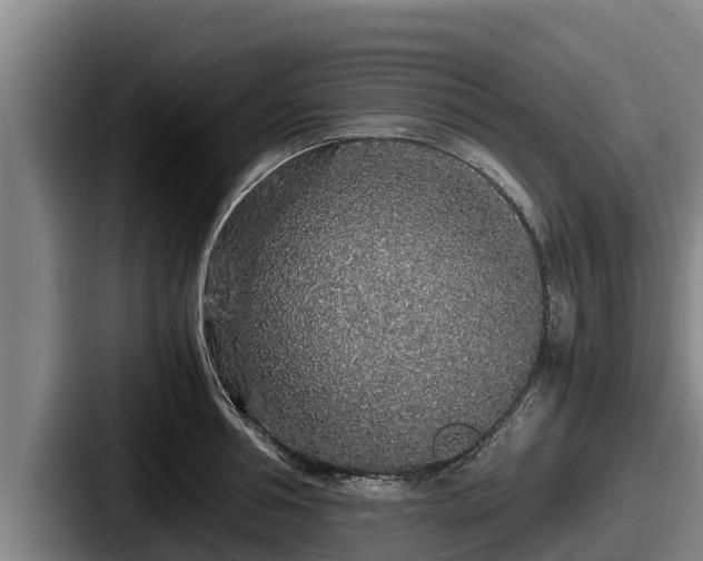 X0000087690994200705111317