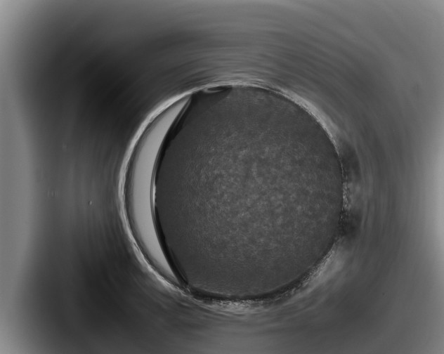 X0000087690995200705111317